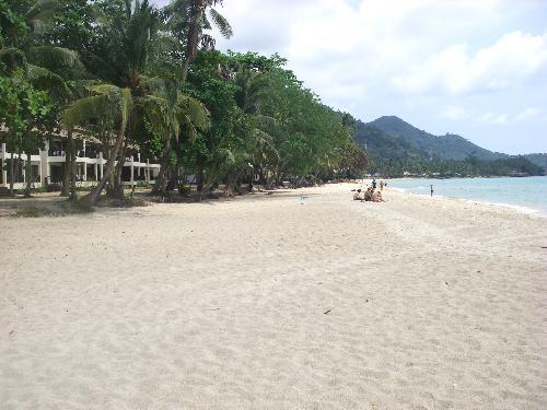 a busy afternoon on Lonely Beach in March 2008