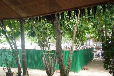 a green wall hides the ongoing construction from direct sight