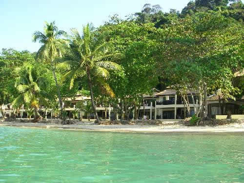 Premium Rooms with palm trees and sea