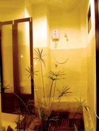 Tropical Shower picture